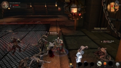 Dungeons and Dragons: Daggerdale (2011/RUS/ENG/Repack) PC